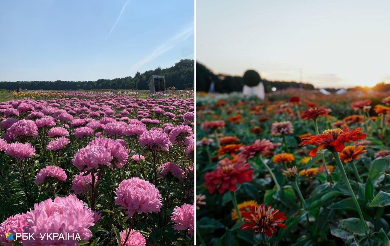 Насолодитись красою. Незвичайні квіткові локації для подорожі на вікенд